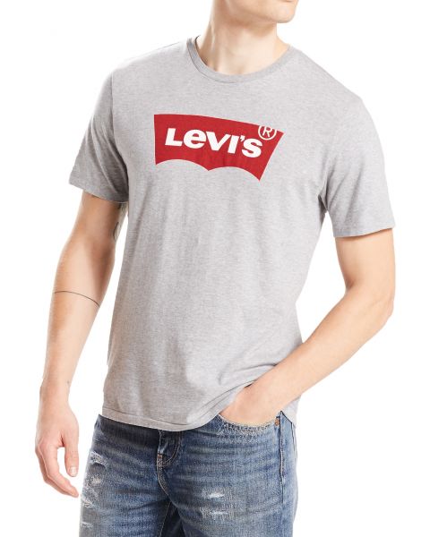 Levis Graphic Batwing Men's T-Shirt Midtone | Jean Scene
